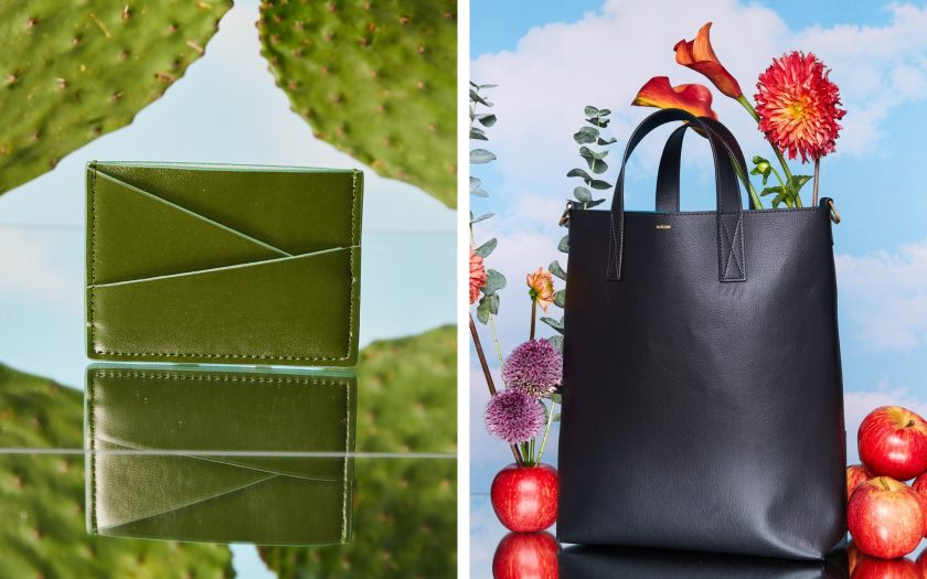 The Finest Eco-Pleasant Vegan Luggage for Moral + Easy Fashion